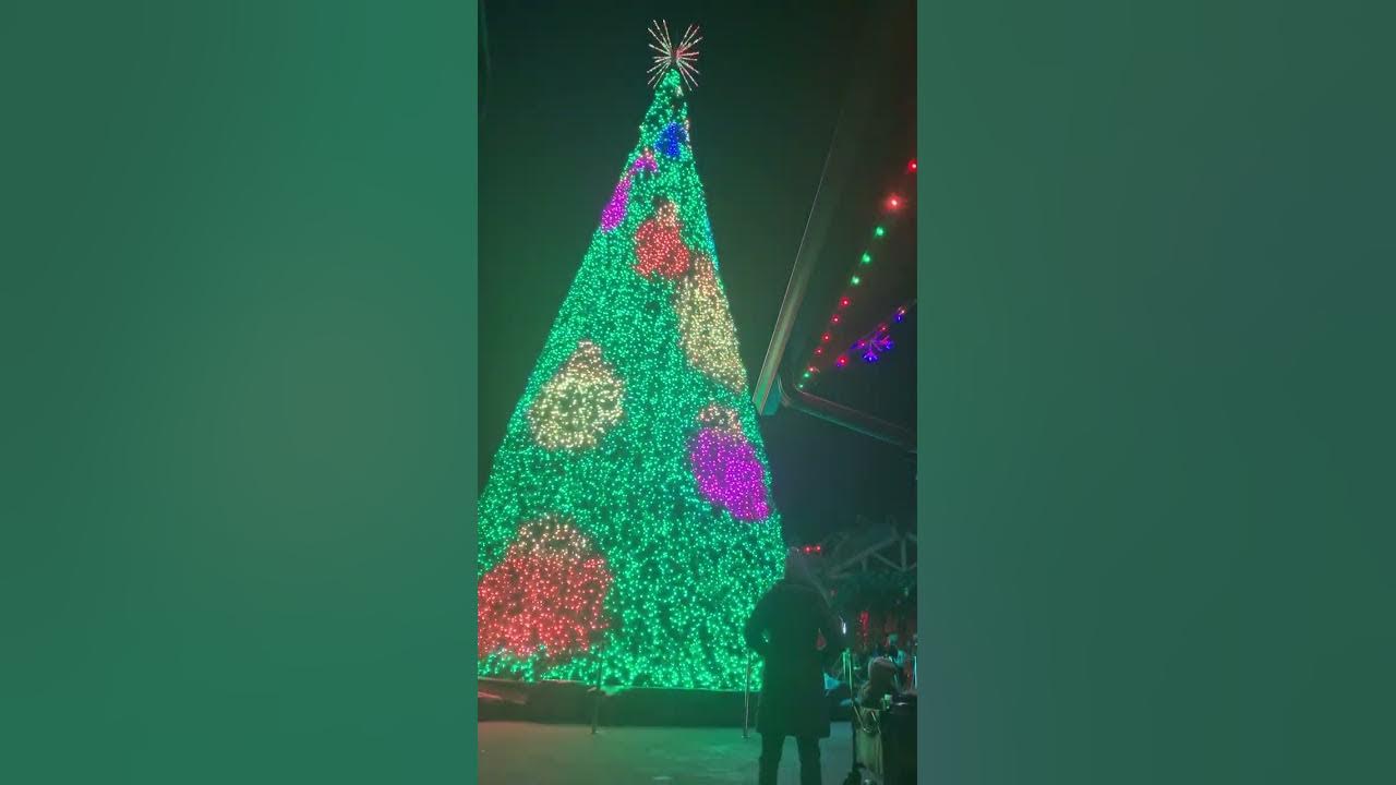 Dollywood Smokey mountain Christmas 2023 glacier ridge tree YouTube