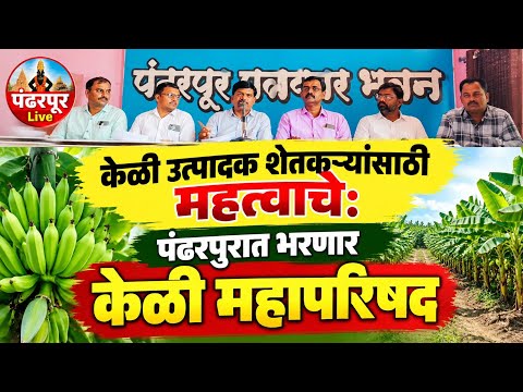 Pandharpur Breaking | पंढरपुरात केळी महापरिषदेचं आयोजन; केळी उत्पादक शेतकरी संघाचा उपक्रम