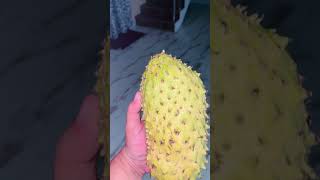 #trending #viral #youtubeshorts #soursop #drink 🍹 #shorts #short
