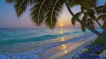 Mindfulness 🌅 Oahu Hawaii Sunset Ocean Sounds | Sleep • Study • Focus | 12h 4K 🌴