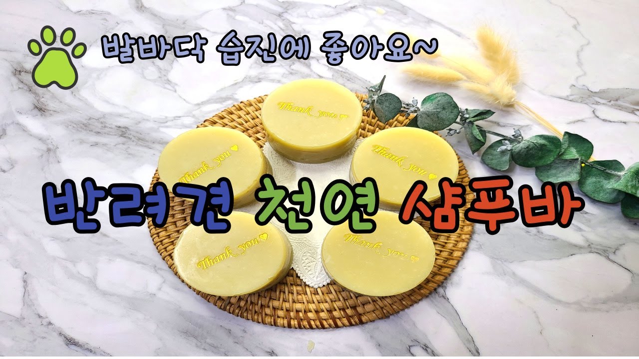 반려견 천연 샴푸바~