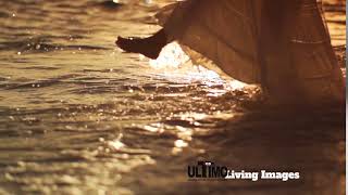 Living - Animated Imagesvideo