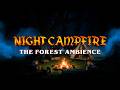 Crackling Campfire Deep in the Forest | Pure Nature Ambience for Relaxation &amp; Focus