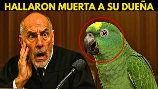 😱LORO Testifica en Corte y lo que Revela Deja al JUEZ Completamente PARALIZADO