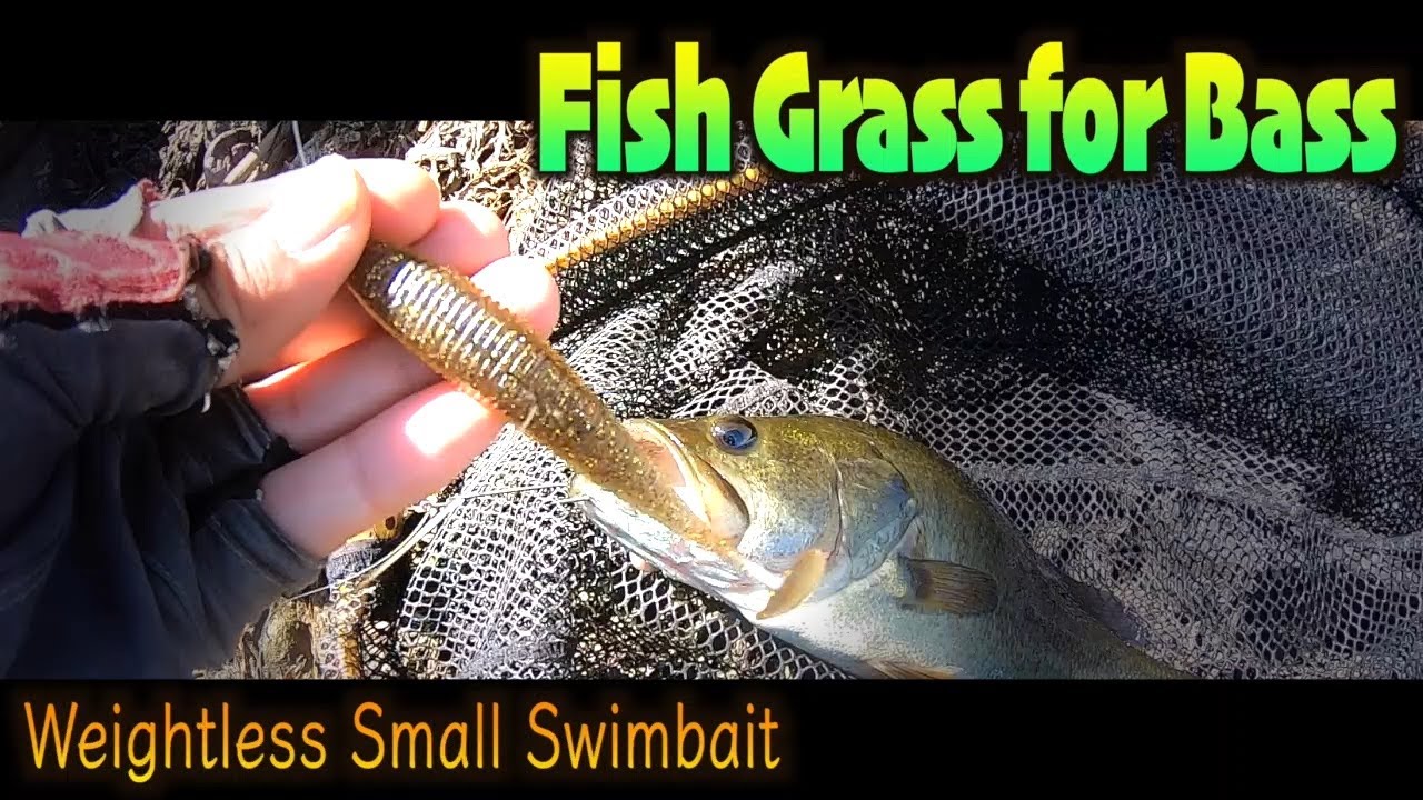 Jackall Rhythm Wave] Cover fishing with weightless swimbait [Bass