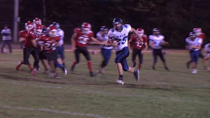 Hale's Garrett Beebe goes 65-yards for a touchdown