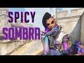 SPICY SOMBRA | FItzyhere on Havana