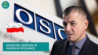 HDIM 2018: Working Session 13. Warsaw (Poland)