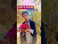 khavo ma Kasam se 😂#comedy #funny #real fool #viral #youtube #comedies #trending #shorts