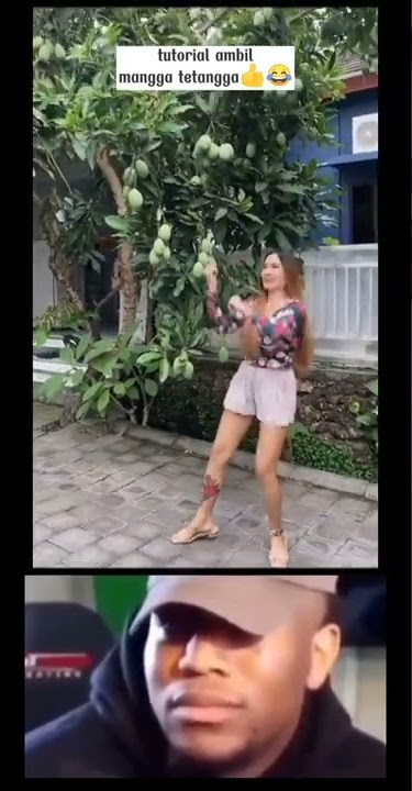 Tutorial maling mangga tetangga anti mainstream terbaru 🤣 Story Ngakak 😆 #shorts #lucu #fyp #agen138
