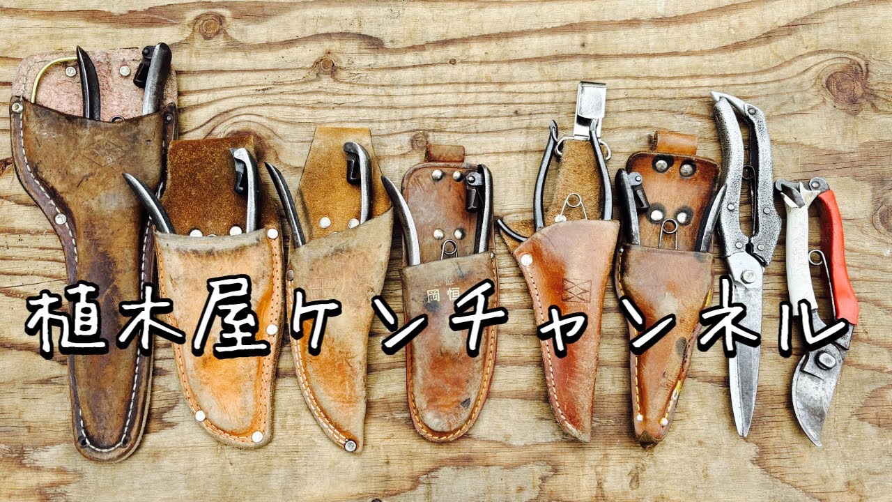 鋏の紹介【植木屋ケンチャンネル】