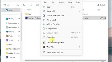 Download and install Adobe Animate 2025