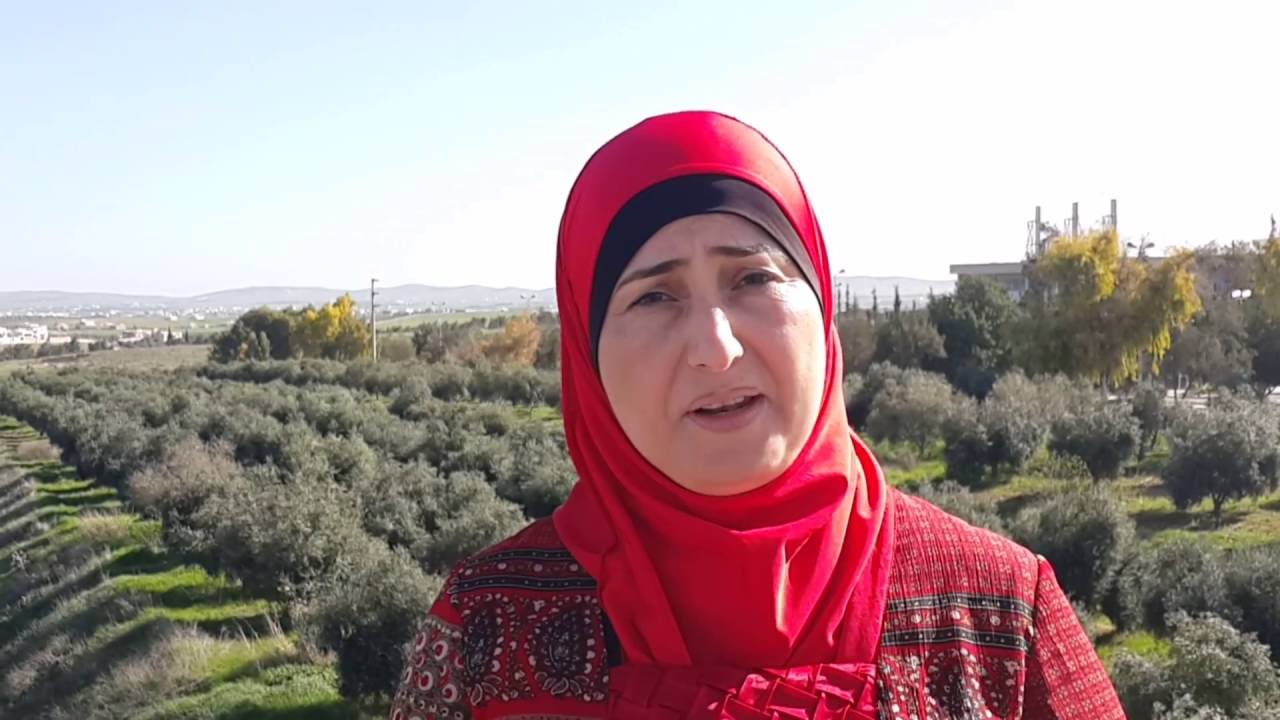 كيف نواجه مشكلات الحياة ومن أين نبدأ الحل الحقيقي - د. سميرة الشرمان