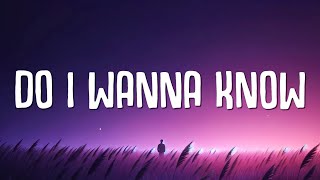 Hozier - Do I Wanna Know (Lyrics)