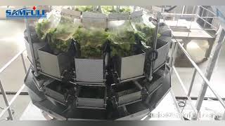 Fully automatic lettuce salad vegetable weighing and packing machine