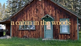 false spring & a cabin in the woods | ep.2