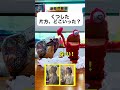 パペット劇「くつした片方、どこいった？」