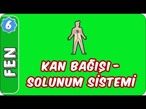 Kan Bağışı - Solunum Sistemi |  6. Sınıf Fen evokul Kampı