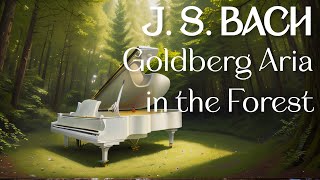 Wonderful Classical Piano Music - J. S. Bach Goldberg Variations BWV 988 Aria - With Forest Sounds
