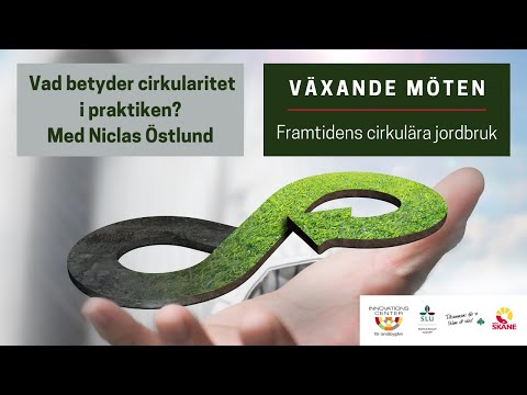 Vad betyder cirkularitet
