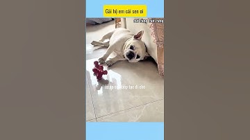 Gãi hộ em cái sen ơi #vui cùng cún cưng