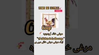 3 Animal Homes Vocabulary | Coop, Kennel, Hive Meaning in Urdu 🐔🐶🐝#english#vocabulary#shorts