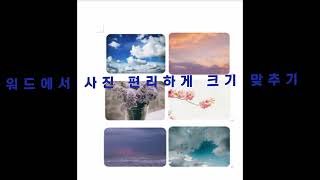 [워드(Word) 꿀팁]워드 사진 크기 조정 빠르게 하기 screenshot 4