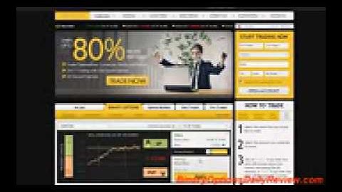 Bee Options Review  Binary Options Trading System