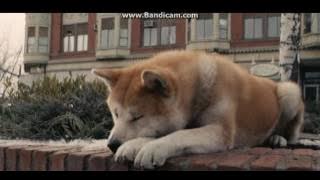 A musica mais triste do mundo com Hachiko :(