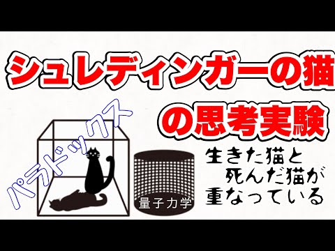 【思考実験】シュレディンガーの猫についてわかりやすく解説！ミクロの視点では猫の生死が重なった状態がありうる⁉︎【量子力学】