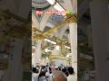 Riya ✨Jul✨Jannat 🤲💚 #madinasharif #madina #umrah #shorts #youtubeshorts