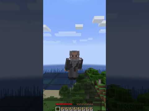 【Minecraft】DREAMの神業1000万回チャレンジしてみた結果wwww ft.TAS