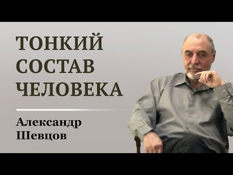 Устройство тонкого состава человека. Александр Шевцов