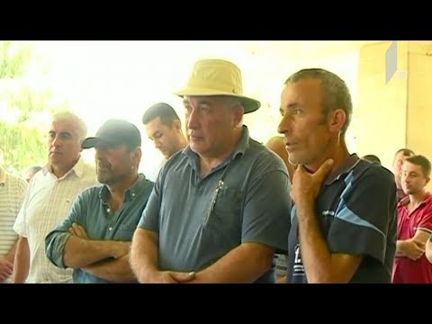 საპროტესტო აქცია