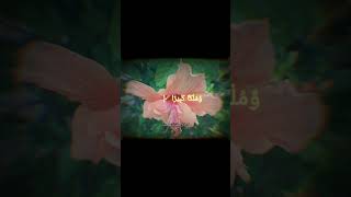 Beautiful Quran Recitation Of Surah Al- Insan By Abdullah Hassan