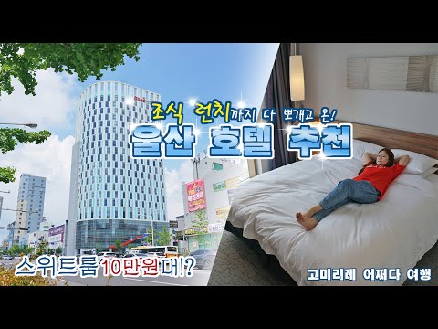 울산 호텔 추천 스타즈호텔 울산 10만원대 스위트룸 조식 런치 호캉스