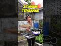 INI 3 TOMAN TERGANAS YANG AKU PELIHARA DARI BERBAGAI DAERAH