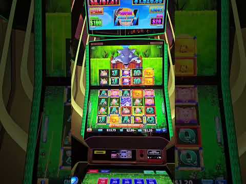 Wolf Winner Casino: Your Top Choice for Online Gaming in Australia - Play in English now!