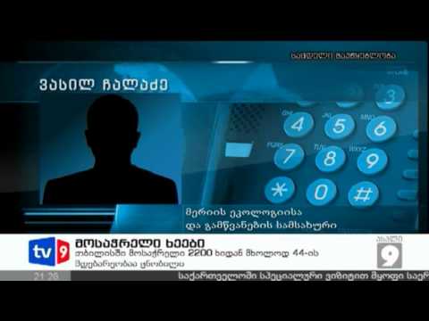 ახალი 9 | მოსაჭრელი ხეები | 06.04.13