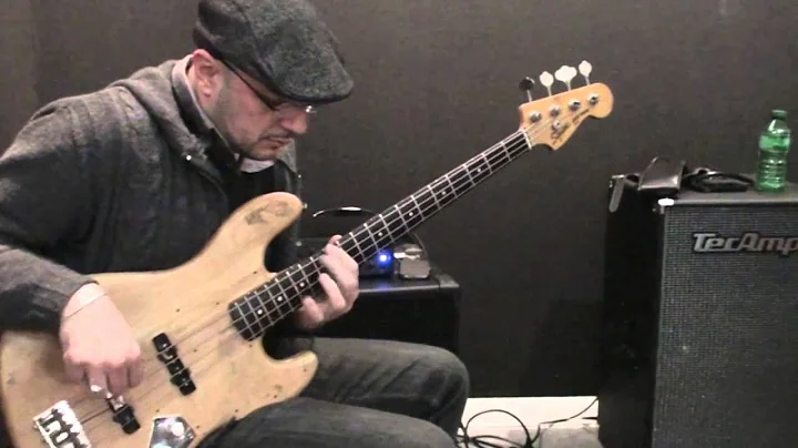 Ornithology - Dario Deidda & Fabio Zeppetella - Mu...