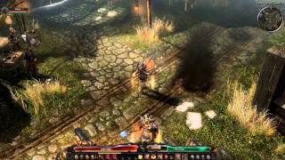 Grim Dawn bug