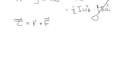 Hamster running on a wheel