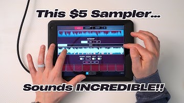 Koala Sampler First Impressions: Undeniably Smooth, Insane Value, and Easy to Master!