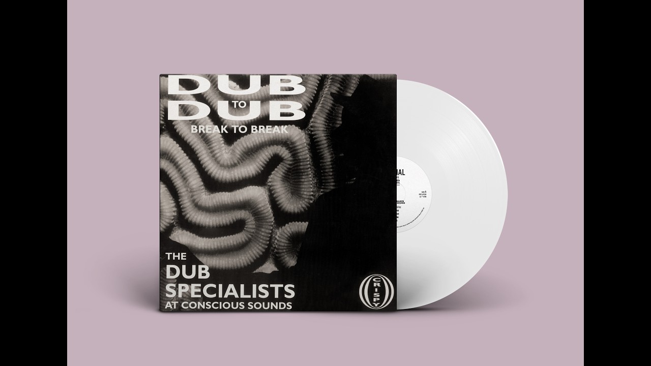 Dub Specialists - Dub to Dub Break to Break - Partial - PRTLLP028