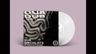 DJ TROUBLE DUB A BREAKS V.1 V.2 レコード Dub Specialists - Dub to Dub Break to Break - Partial - PRTLLP028