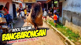 BANGBARONGAN NGAMUK NGEJAR BOCIL FF AUTO DI CAPLOK ❗❗ KUDA RENGGONG CUTA MUDA GROUP 💥 LEMBUR KURING