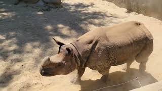Los Angeles Zoo and Botanical Gardens - Part 2