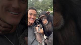 The Unlikely Trio; Chimp, Pup & Human Show 💜