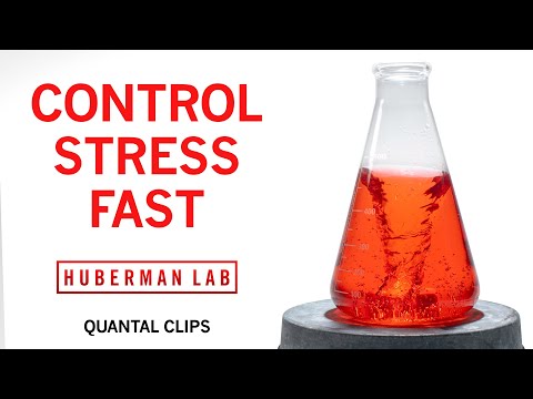How to Control Stress in Real-Time | Huberman Lab Quantal Clip