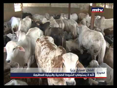    29 09 2015 إقفال مسلخ بزيزا